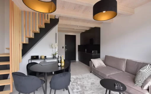 NOWOCZESNY DOM SZKIELETOWY 33 M² Z TARASEM CAS-60 „MODERN” SALON (2)_