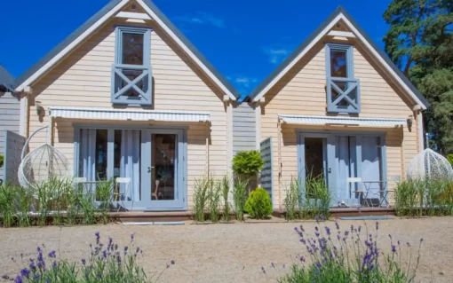 b252_6088_mi_dzysosnami_pomniejszone_26_of_66__